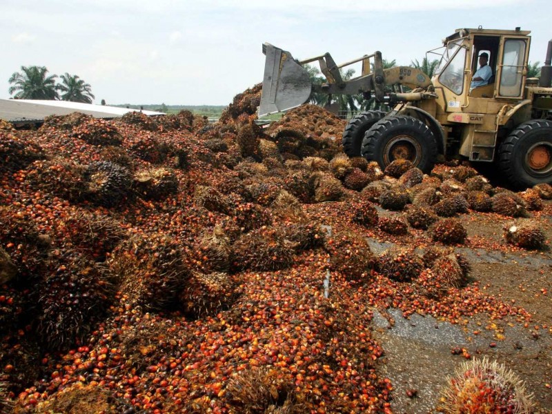 5 Tahun Jokowi-JK: Ini Kebijakan Indonesia yang Senggol Harga Komoditas Dunia