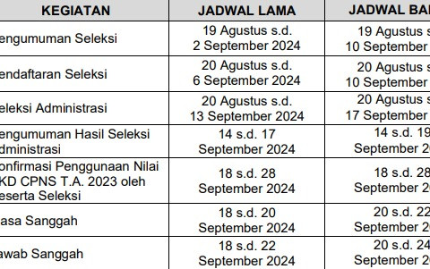 Pendaftaran CPNS 2024 Besok Hari terakhir, Ditutup Pukul 23.59 WIB Simak Cara Daftarnya
