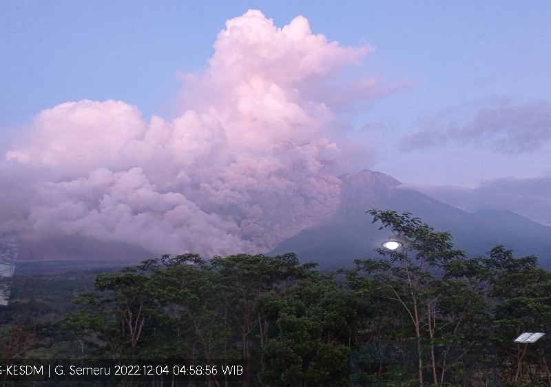 Gunung Semeru Erupsi, Terekam 8 Kali Gempa Letusan