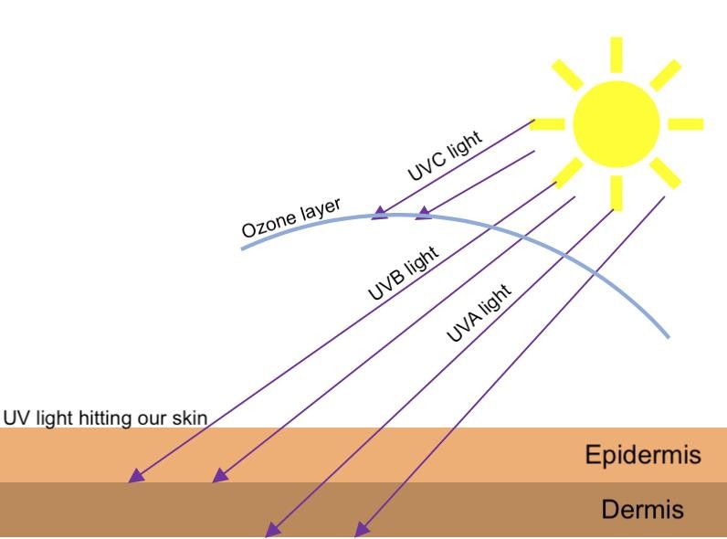 Khasiat Ajaib Sunscreen, dan Cara Pakainya yang Benar