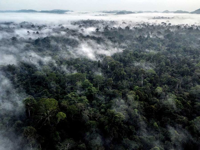 Inilah Suku Pemburu dan Peramu Terakhir di Kalimantan