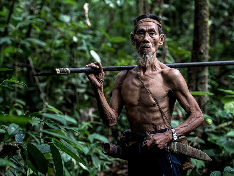 Inilah Suku Pemburu dan Peramu Terakhir di Kalimantan