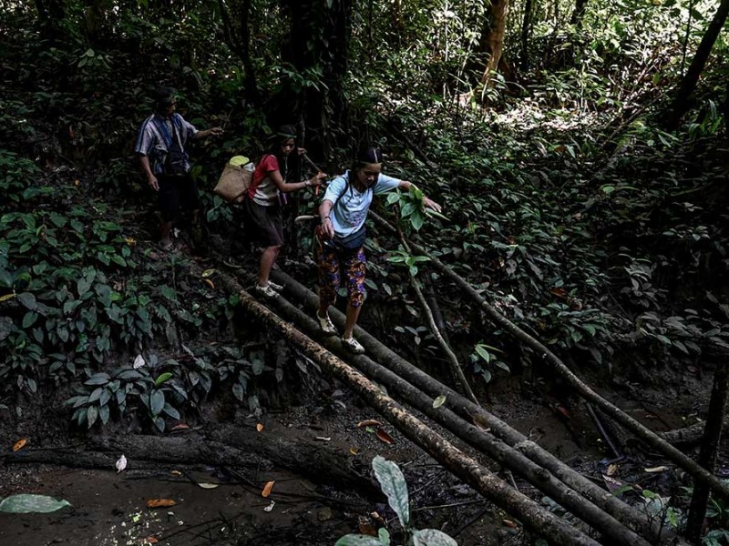 Inilah Suku Pemburu dan Peramu Terakhir di Kalimantan