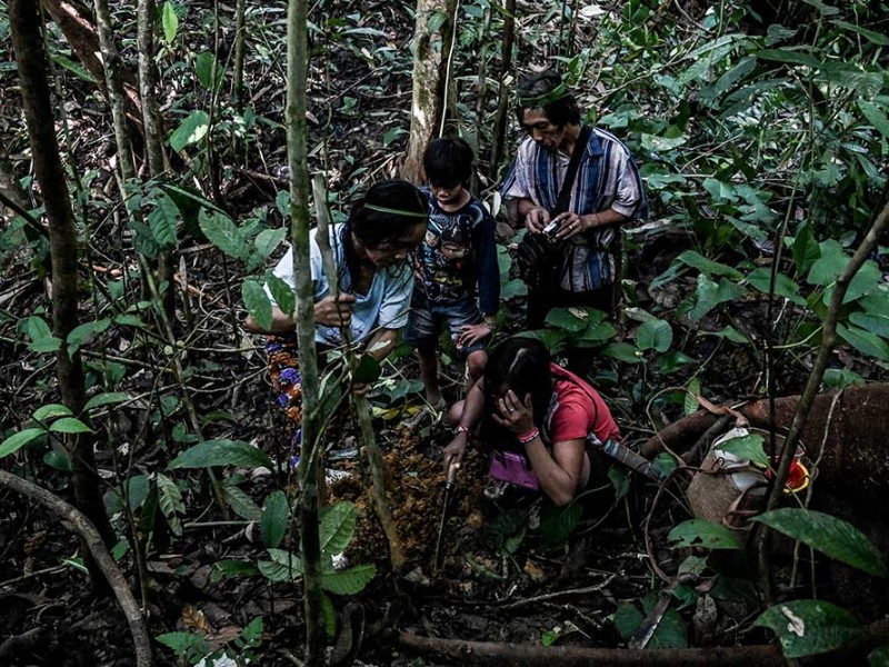 Inilah Suku Pemburu dan Peramu Terakhir di Kalimantan