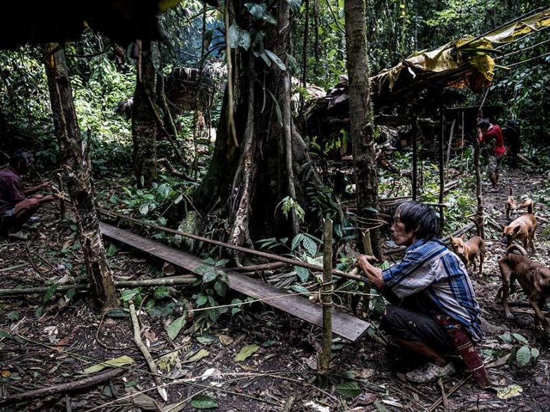 Inilah Suku Pemburu dan Peramu Terakhir di Kalimantan