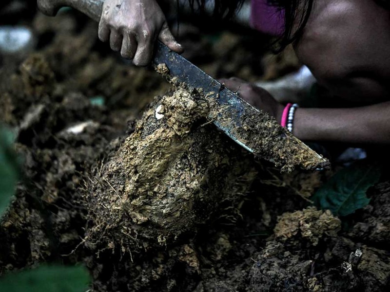 Inilah Suku Pemburu dan Peramu Terakhir di Kalimantan