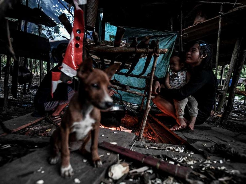 Inilah Suku Pemburu dan Peramu Terakhir di Kalimantan