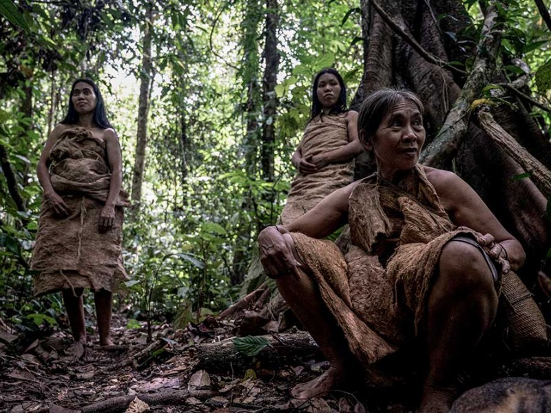 Inilah Suku Pemburu dan Peramu Terakhir di Kalimantan