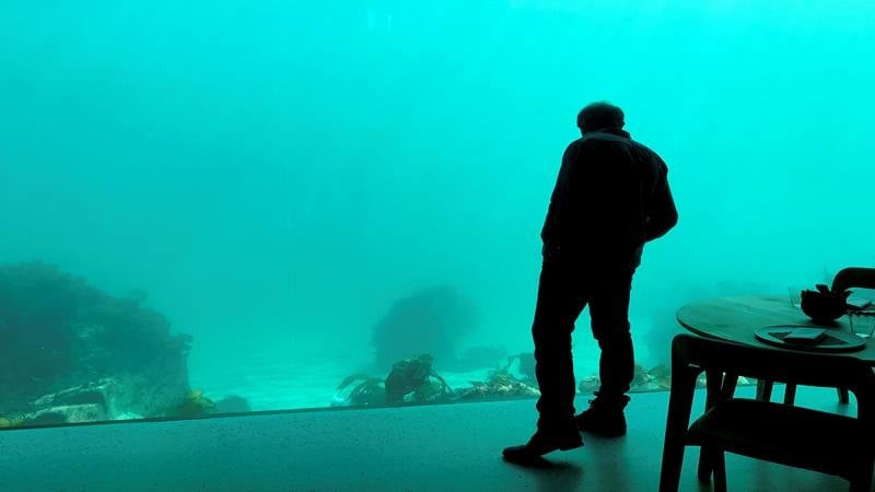 Keren! Penampakan dan Biaya Makan di Restoran Bawah Laut Pertama di Eropa