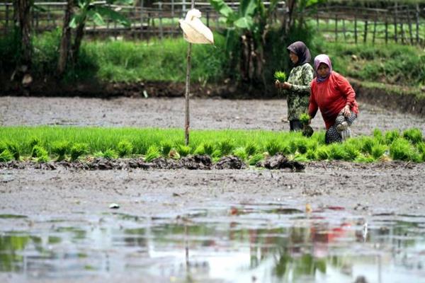 FOKUS APBN 2018: Dari Infrastruktur Prioritas Hingga Pengentasan Kemiskinan