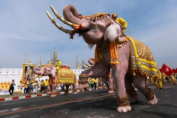 Atraksi Gajah Putih Ramaikan Pawai Penghormatan Raja Baru Thailand