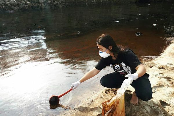 Teluk Balikpapan Terancam Krisis Berkepanjangan