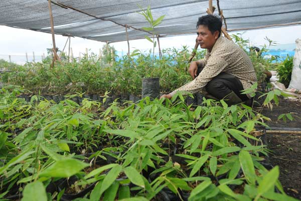 Pelestarian Sungai Musi: Bertumpu pada Bambu