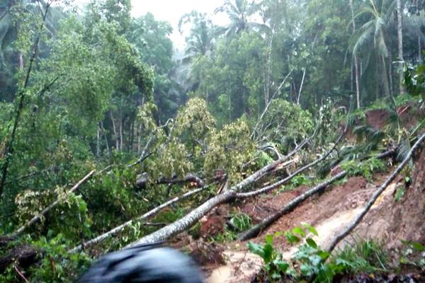 Banjir dan Longsor Lumpuhkan Pacitan