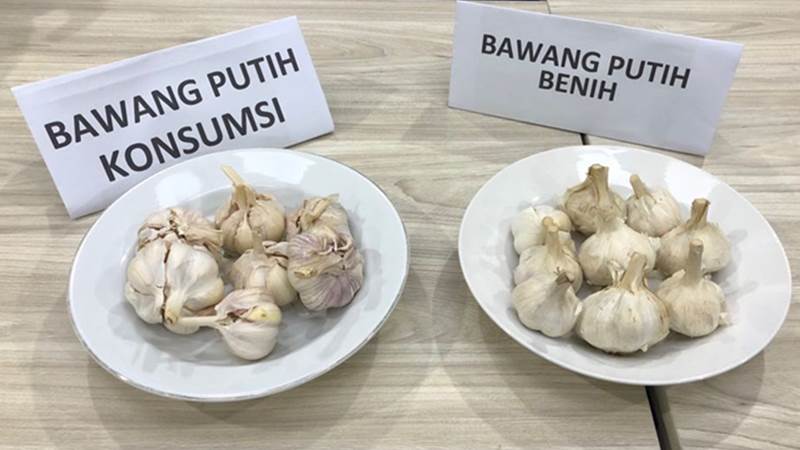 Bareskrim Gagalkan Penyelundupan 300 Ton Bawang Ilegal ke Indonesia