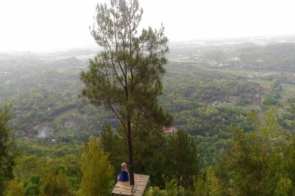 Barack Obama Dongkrak Kunjungan Turis ke Hutan Pinus Becici