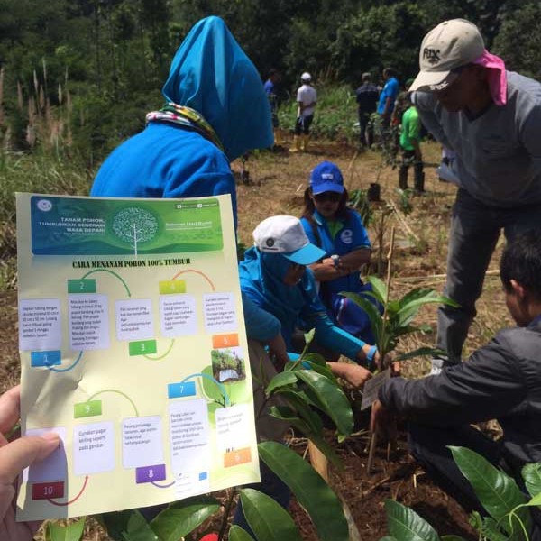 Karyawan AQUA dan Pemangku Kepentingan Tanam dan Rawat Pohon di Hutan Konservasi