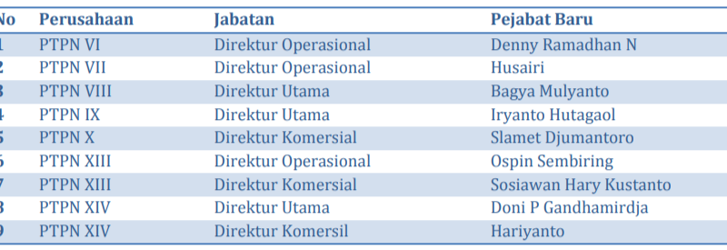 PTPN Holding Rombak Direksi