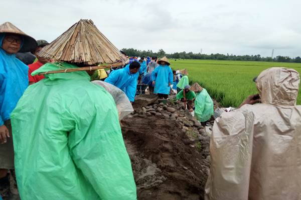 Jokowi Terobos Hujan Deras untuk Cek Padat Karya Tunai di Gowa