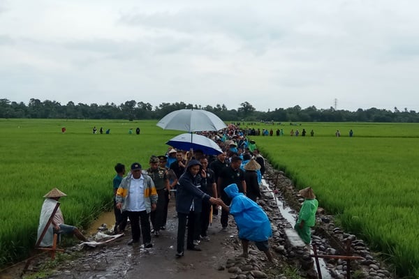 Cerita Nurbaya dan Padat Karya Tunai di Panyakalang