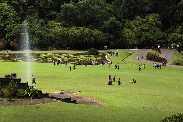 Aplikasi Jelajah Permudah Pengunjung Keliling Kebun Raya Bogor