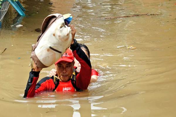 Foto-foto Banjir di Jakarta dan Jalur Puncak Longsor