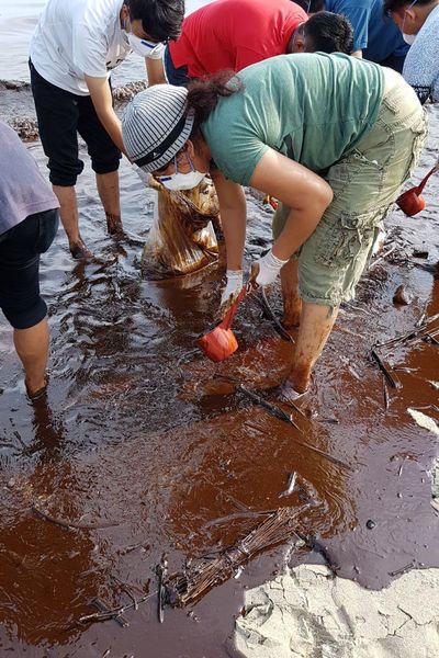 Tumpahan Minyak di Teluk Balikpapan Menyebar ke Arah Selat Makassar