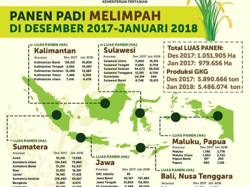 Impor Beras Ditolak, Ini Suara Protes Pejabat dan Petani di Daerah