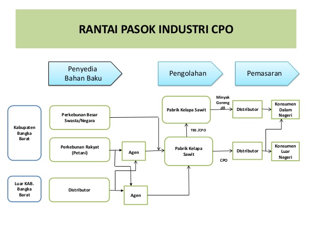 Beginilah Geliat Industri Sawit, Si Emas Hijau 