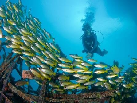 Wow Keren, Resor di Tengah Laut Ini Bekas Eksplorasi Minyak