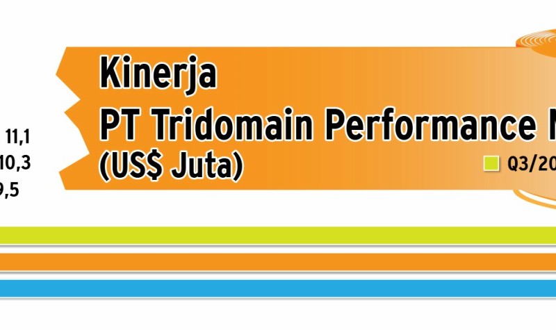 INFOGRAFIK: Menengok Profil Tridomain Performance Materials (TDPM) 