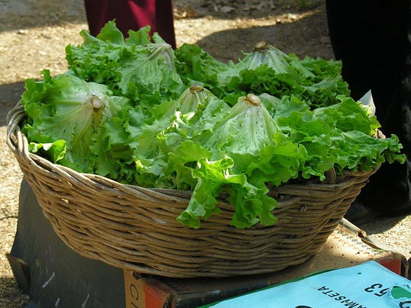 Simak, 7 Makanan untuk Meningkatkan Stamina Pria