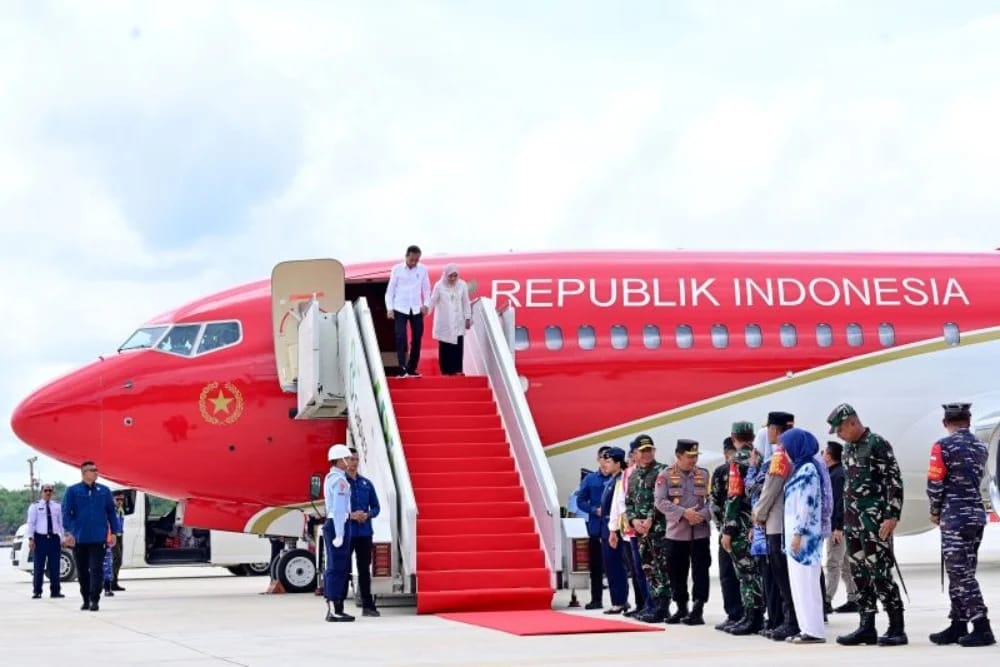 Cat pesawat era Presiden Jokowi./Setpres