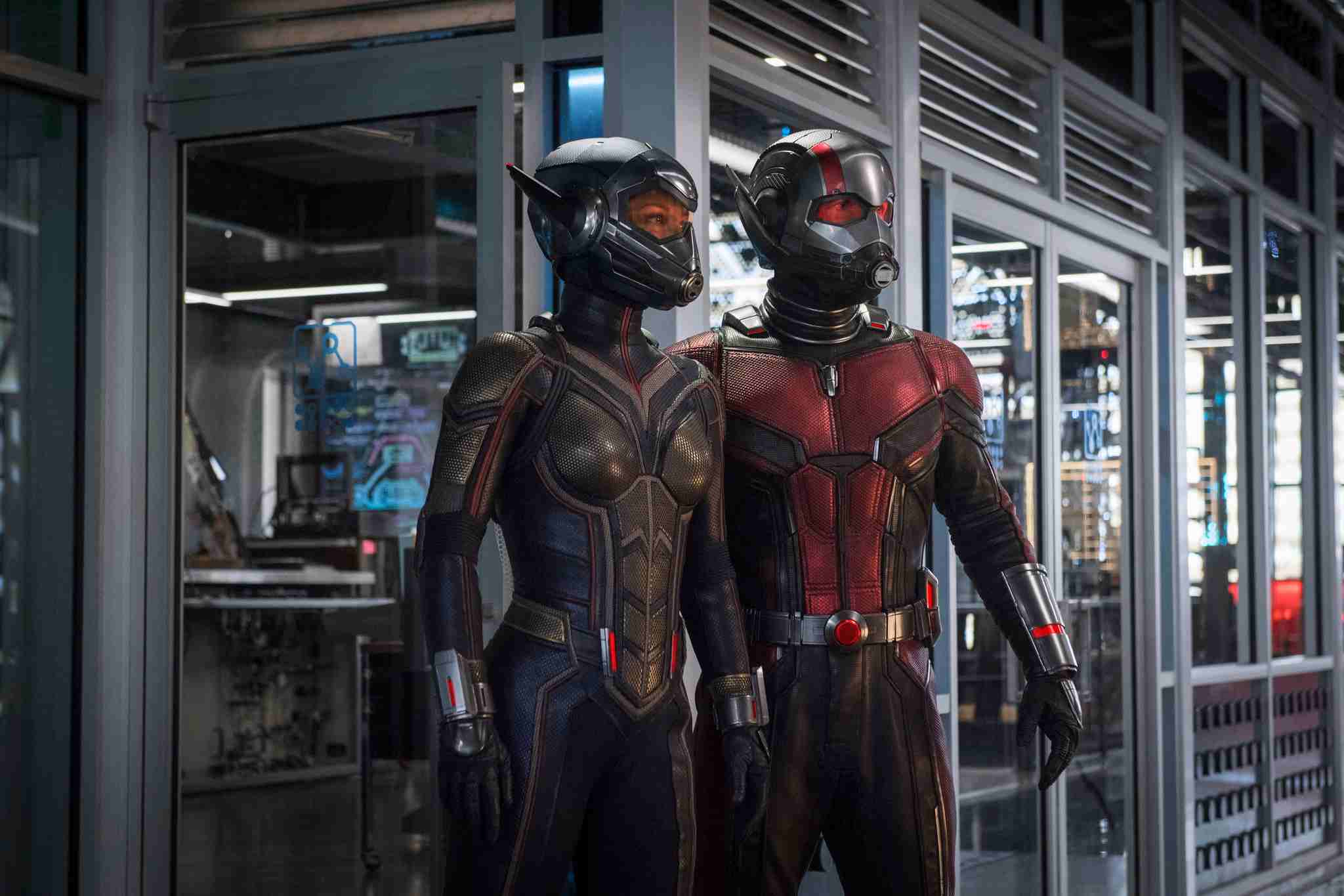 Ant-Man and The Wasp (2018) - IMDb