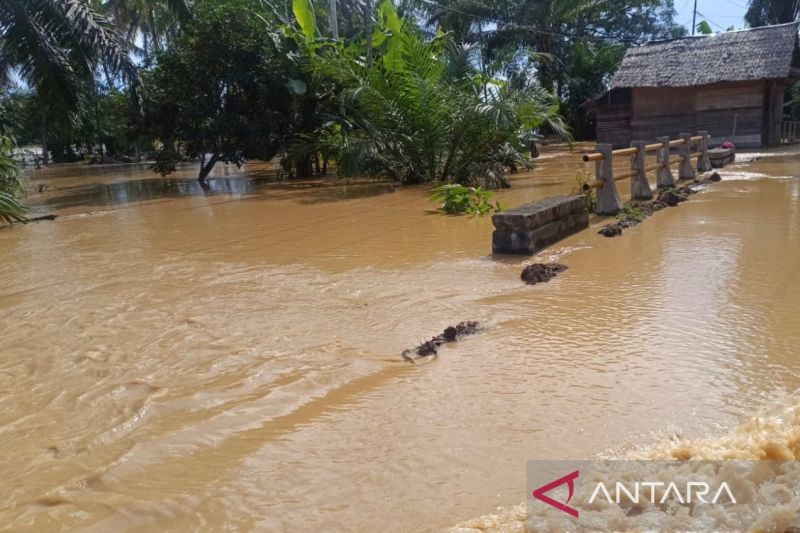 Update Data Korban Banjir Sumatra-Aceh (9/12): 961 Meninggal, 293 Masih Hilang