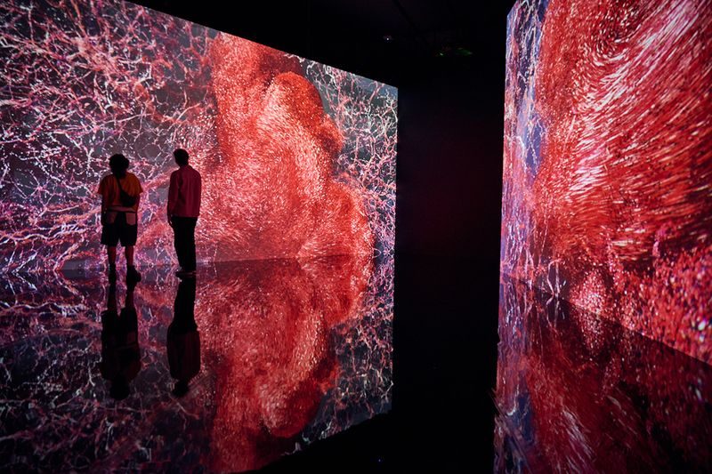 Pengunjung menyaksikan karya seniman Marshmallow Laser Feast berjudul Evolver (2019) dalam pameran Flesh and Bones: The Art of Anatomy./ArtScience Museum Marina Bay Sands