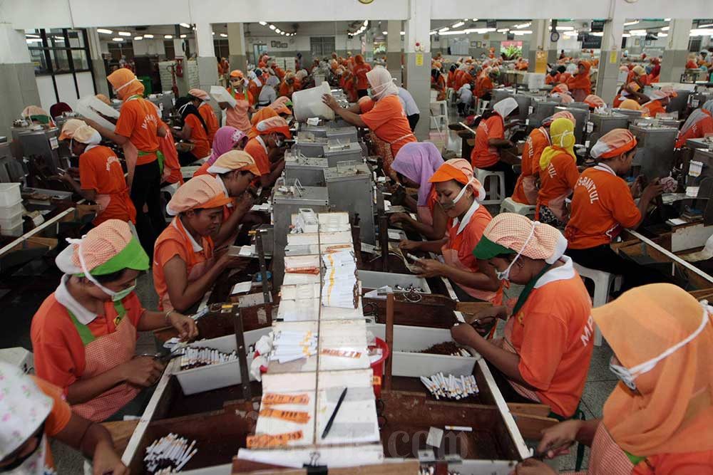 Pekerja Pabrik rokok kretek Mitra Produksi Sigaret (MPS) milik PT HM Sampoerna di Kabupaten Bantul. Bisnis