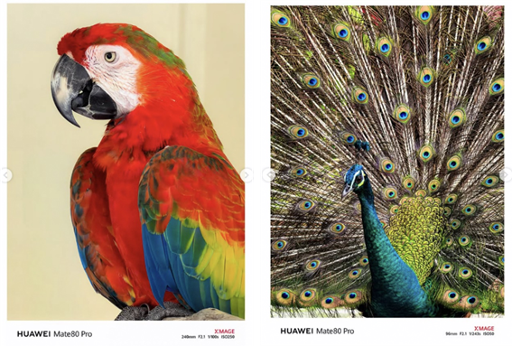 Mate is Back, Huawei Mate 80 Pro Hadir di Indonesia Pasca Sukses di China