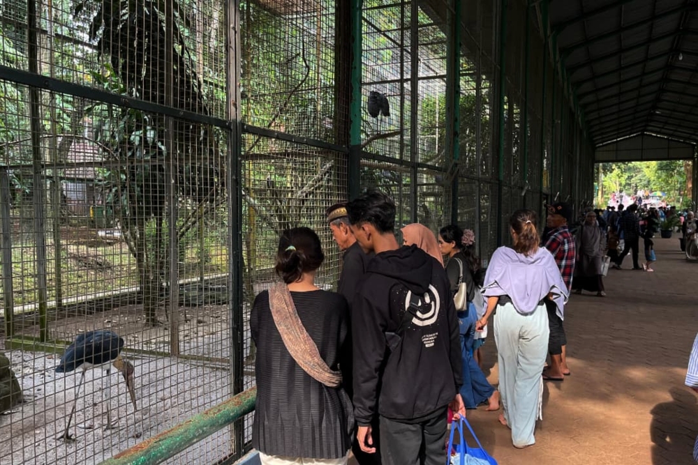 Wisatawan berada di area Taman Margasatwa Ragunan , Jakarta Selatan, pada hari kedua Lebaran 2026, Minggu (22/3/2026)/Bisnis-Patricia Yashinta Desy Abigail