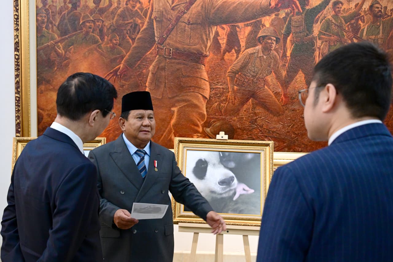 Diplomasi Istimewa Ala Prabowo Libatkan Kucing, Anjing, hingga Panda