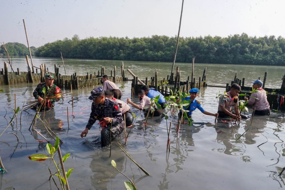 Situ Patengan Bandung - Kolaborasi dengan organisasi konservasi