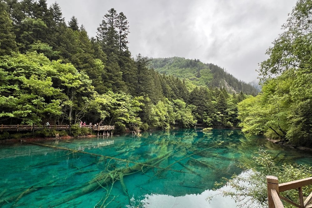 8 Destinasi Wisata Paling Hits di Chengdu China: Panda Base Camp hingga Jiuzhaighou