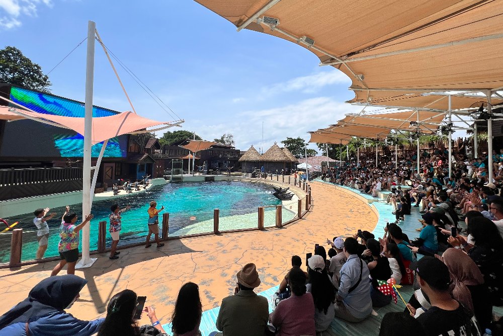 Marine Safari di Bali