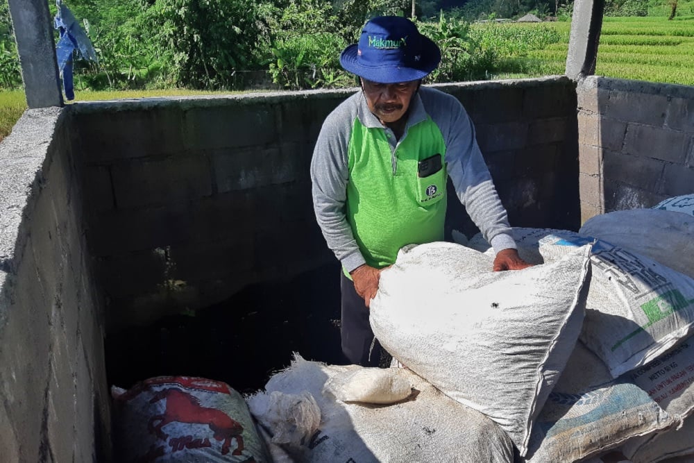 Jelajah Daulat Pangan 2025: Petani Sumberngepoh Konsisten Tanam Padi Organik