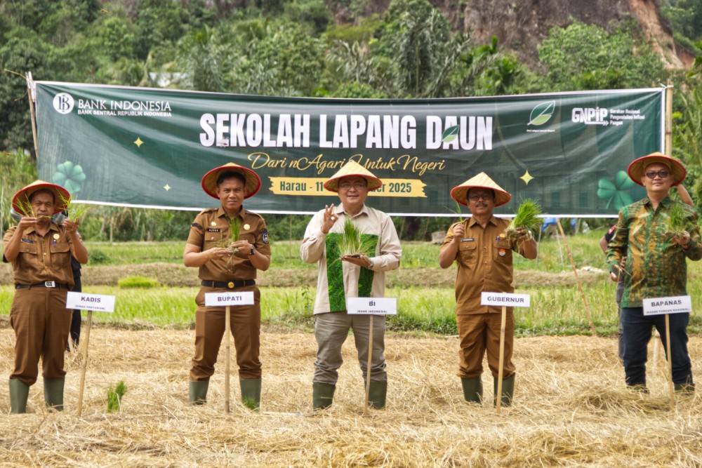 BI Sumbar Dorong Peningkatan Produktivitas Padi Lewat Sekolah Lapang