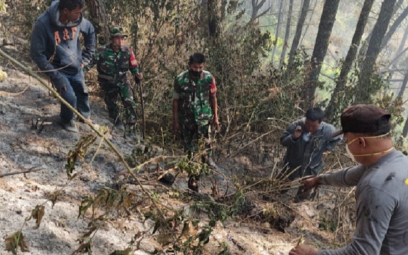 Kobaran api melahap hutan lindung di kawasan Danau Toba, Sumatra Utara