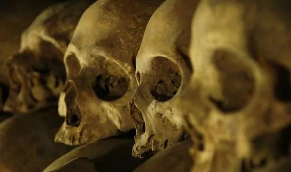 tulang-tulang manusia di geraja polandia