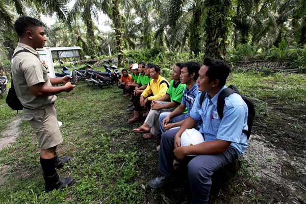 Petani Sawit Berstandar Dunia